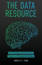 The Data Resource: How Emerging Countries Can Thrive in a Changing Landscape