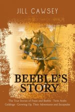 Beeble's Story