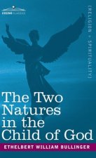Two Natures in the Child of God