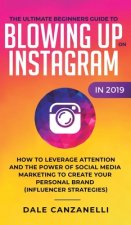 Ultimate Beginners Guide to Blowing Up on Instagram in 2019