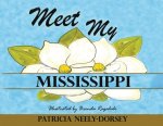 Meet My Mississippi: School Textbook Edition