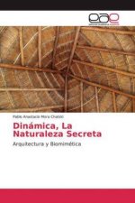 Dinamica, La Naturaleza Secreta