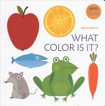 What Color Is It?