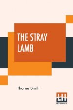 Stray Lamb