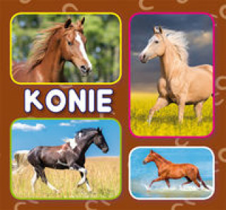 Konie