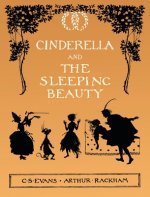 Cinderella and The Sleeping Beauty - Illustrated by Arthur Rackham