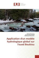 Application d'un mod?le hydrologique global sur l'oued Boukiou