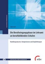 Die Berufseingangsphase im Lehramt an berufsbildenden Schulen