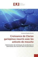 Croissance de Clarias gariepinus nourris avec les asticots de mouche