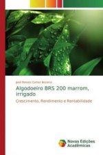 Algodoeiro BRS 200 marrom, irrigado