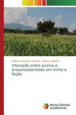Interaç?o entre auxina e brassinosteróides em milho e feij?o