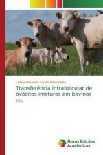 Transfer?ncia intrafolicular de ovócitos imaturos em bovinos