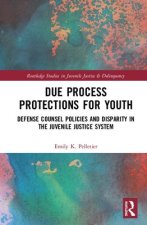 Due Process Protections for Youth