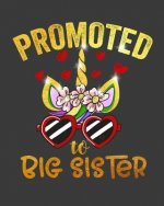 Promoted To Big Sister