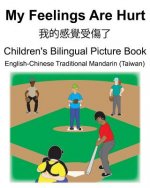 English-Chinese Traditional Mandarin (Taiwan) My Feelings Are Hurt/我的感覺受傷了 Children's Bilingual Pictu