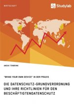 Datenschutz-Grundverordnung und ihre Richtlinien fur den Beschaftigtendatenschutz. Bring Your Own Device in der Praxis