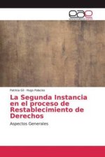 Segunda Instancia en el proceso de Restablecimiento de Derechos