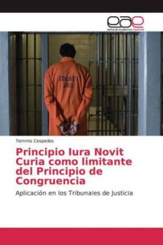 Principio Iura Novit Curia como limitante del Principio de Congruencia