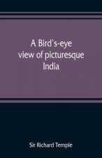 bird's-eye view of picturesque India