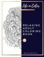 RELAXING ADULT COLORING BOOK (Book 9): Relaxing Adult Coloring Book - 40+ Premium Coloring Patterns (Life in Color Series)
