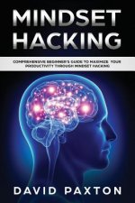 Mindset Hacking: Comprehensive Beginner's Guide to Maximize your Productivity through Mindset Hacking