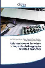 Risk assessment for micro companies belonging to selected branches