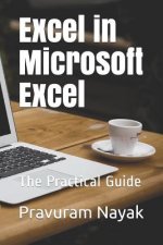 Excel in Microsoft Excel: The Practical Guide