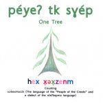 One Tree