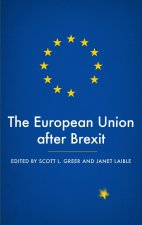 European Union After Brexit