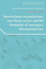 International Organisations, Non-State Actors, and the Formation of Customary International Law