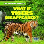 What If Tigers Disappeared?
