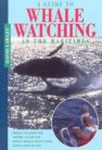 A Guide to Whale Watching in the Maritimes