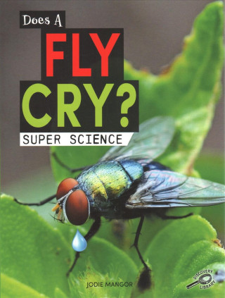 Does a Fly Cry?