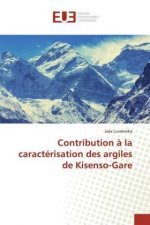 Contribution ? la caractérisation des argiles de Kisenso-Gare