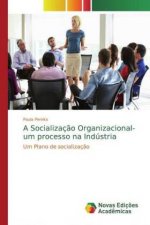 A Socializaç?o Organizacional- um processo na Indústria