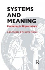 Systems and Meaning