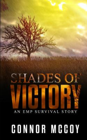 Shades Of Victory: an EMP survival story