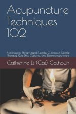 Acupuncture Techniques 102: Moxibustion, Three-Edged Needle, Cutaneous Needle Therapy, Gua Sha, Cupping, and Electroacupuncture