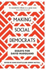 Making Social Democrats