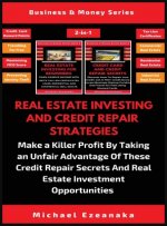 Real Estate Investing And Credit Repair Strategies (2 Books In 1)