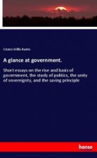 A glance at government.
