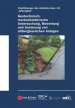 Geotechnisch-markscheiderische Untersuchung, Bewertungund Sanierung von altbergbaulichen Anlagen Empfehlungen des Arbeitskreises Altbergbau