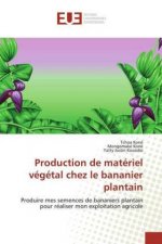Production de matériel végétal chez le bananier plantain
