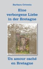 Eine verborgene Liebe in der Bretagne