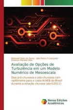 Avaliaç?o de Opç?es de Turbul?ncia em um Modelo Numérico de Mesoescala