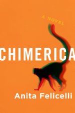 Chimerica: A Novel