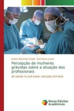 Percepcao de mulheres gravidas sobre a atuacao dos profissionais