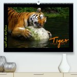 Welt der Katzen - Tiger(Premium, hochwertiger DIN A2 Wandkalender 2020, Kunstdruck in Hochglanz)