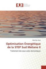 Optimisation Énergétique de la STEP Sud Meliane II