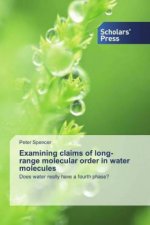 Examining claims of long-range molecular order in water molecules